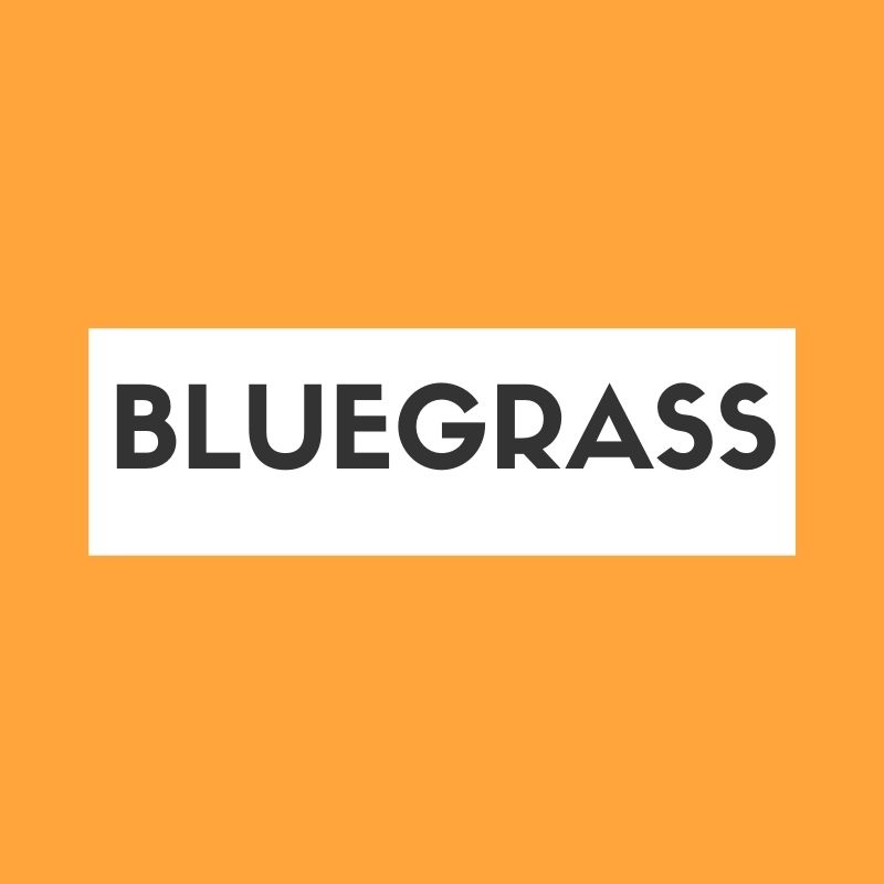 Bluegrass